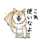 意外と使えるリアル犬の熱い愛（個別スタンプ：7）