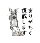 意外と使えるリアル犬の熱い愛（個別スタンプ：8）