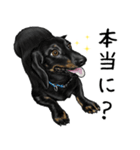 意外と使えるリアル犬の熱い愛（個別スタンプ：9）