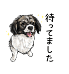 意外と使えるリアル犬の熱い愛（個別スタンプ：10）