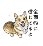 意外と使えるリアル犬の熱い愛（個別スタンプ：14）