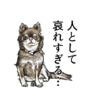 意外と使えるリアル犬の熱い愛（個別スタンプ：15）