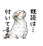 意外と使えるリアル犬の熱い愛（個別スタンプ：18）