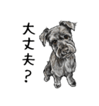 意外と使えるリアル犬の熱い愛（個別スタンプ：20）