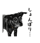 意外と使えるリアル犬の熱い愛（個別スタンプ：21）