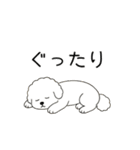 犬の日 ビションフリーゼ（個別スタンプ：6）