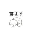 犬の日 ビションフリーゼ（個別スタンプ：7）