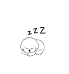 犬の日 ビションフリーゼ（個別スタンプ：8）