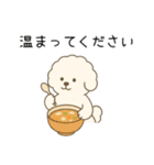 犬の日 ビションフリーゼ（個別スタンプ：10）