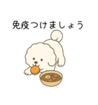 犬の日 ビションフリーゼ（個別スタンプ：12）