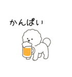 犬の日 ビションフリーゼ（個別スタンプ：13）