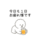 犬の日 ビションフリーゼ（個別スタンプ：15）