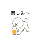 犬の日 ビションフリーゼ（個別スタンプ：16）