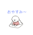 犬の日 ビションフリーゼ（個別スタンプ：17）