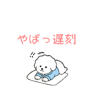 犬の日 ビションフリーゼ（個別スタンプ：19）