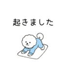 犬の日 ビションフリーゼ（個別スタンプ：20）