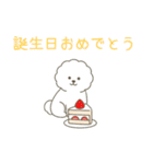 犬の日 ビションフリーゼ（個別スタンプ：22）