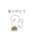 犬の日 ビションフリーゼ（個別スタンプ：23）