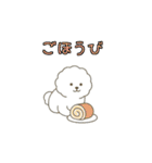 犬の日 ビションフリーゼ（個別スタンプ：25）