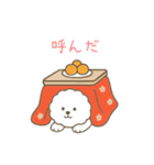 犬の日 ビションフリーゼ（個別スタンプ：29）