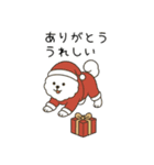 犬の日 ビションフリーゼ（個別スタンプ：34）