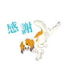 ヨガを嗜むおイヌさんたち（個別スタンプ：3）