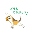 ヨガを嗜むおイヌさんたち（個別スタンプ：4）