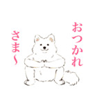 ヨガを嗜むおイヌさんたち（個別スタンプ：7）