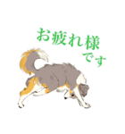 ヨガを嗜むおイヌさんたち（個別スタンプ：8）