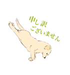 ヨガを嗜むおイヌさんたち（個別スタンプ：9）