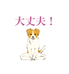 ヨガを嗜むおイヌさんたち（個別スタンプ：11）