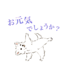 ヨガを嗜むおイヌさんたち（個別スタンプ：12）