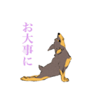 ヨガを嗜むおイヌさんたち（個別スタンプ：13）