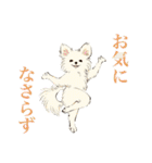 ヨガを嗜むおイヌさんたち（個別スタンプ：14）