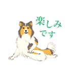 ヨガを嗜むおイヌさんたち（個別スタンプ：15）