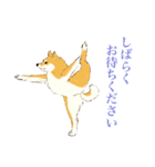 ヨガを嗜むおイヌさんたち（個別スタンプ：16）