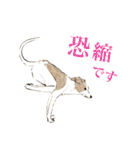 ヨガを嗜むおイヌさんたち（個別スタンプ：17）