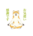 ヨガを嗜むおイヌさんたち（個別スタンプ：18）