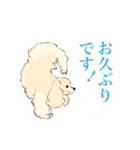 ヨガを嗜むおイヌさんたち（個別スタンプ：20）