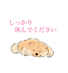 ヨガを嗜むおイヌさんたち（個別スタンプ：21）