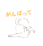 ヨガを嗜むおイヌさんたち（個別スタンプ：22）