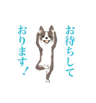 ヨガを嗜むおイヌさんたち（個別スタンプ：26）