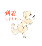 ヨガを嗜むおイヌさんたち（個別スタンプ：27）