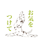 ヨガを嗜むおイヌさんたち（個別スタンプ：28）