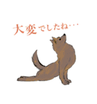 ヨガを嗜むおイヌさんたち（個別スタンプ：31）