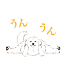 ヨガを嗜むおイヌさんたち（個別スタンプ：36）