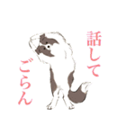 ヨガを嗜むおイヌさんたち（個別スタンプ：39）