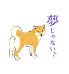 ヨガを嗜むおイヌさんたち（個別スタンプ：40）