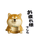 ちょっぴり笑える柴犬（個別スタンプ：6）