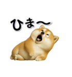 ちょっぴり笑える柴犬（個別スタンプ：8）